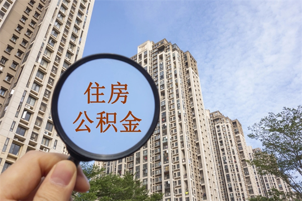 冠县深圳公积金（深圳公积金首页）